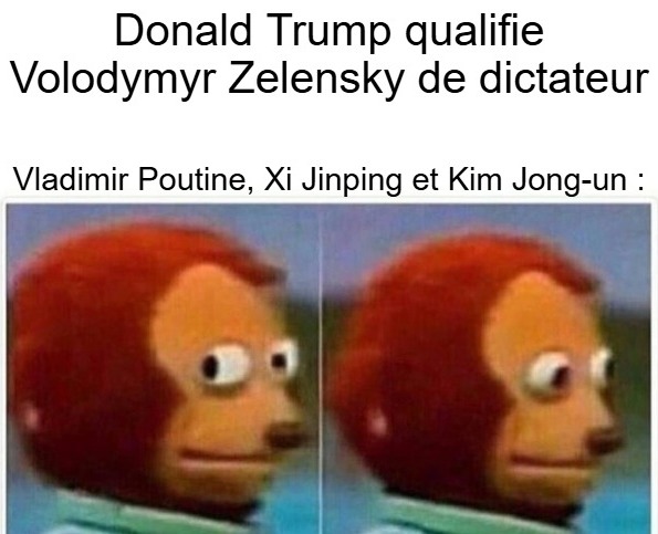 Pour info, Elon Musk = Maitre du monde ≠ Dictateur - meme