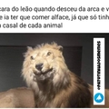 Leão vegano