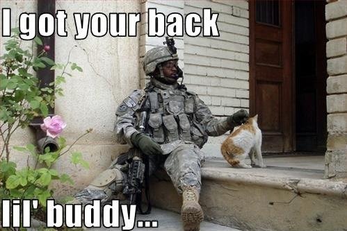 memorial day meme of a soldier with a cat