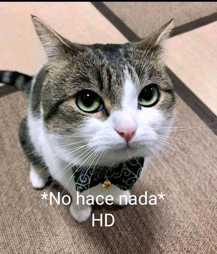 no hace nada we - Meme by Joaquin_ancauwu :) Memedroid