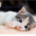 commented item thumbnail