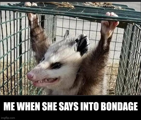 O' Bondage - meme