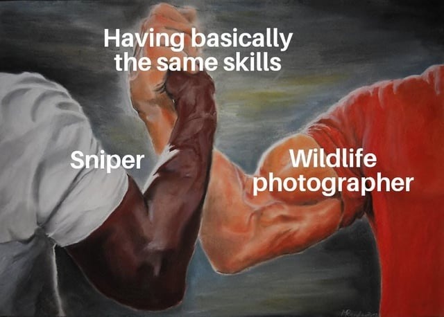Sniper and wildlife photographer: same skill tree - meme