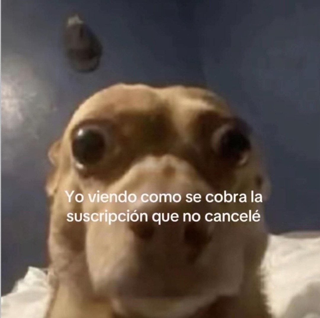 Yo viendo como se cobra esa suscripción que olvidé cancelar - meme