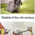 Old ass rabbits are real G's