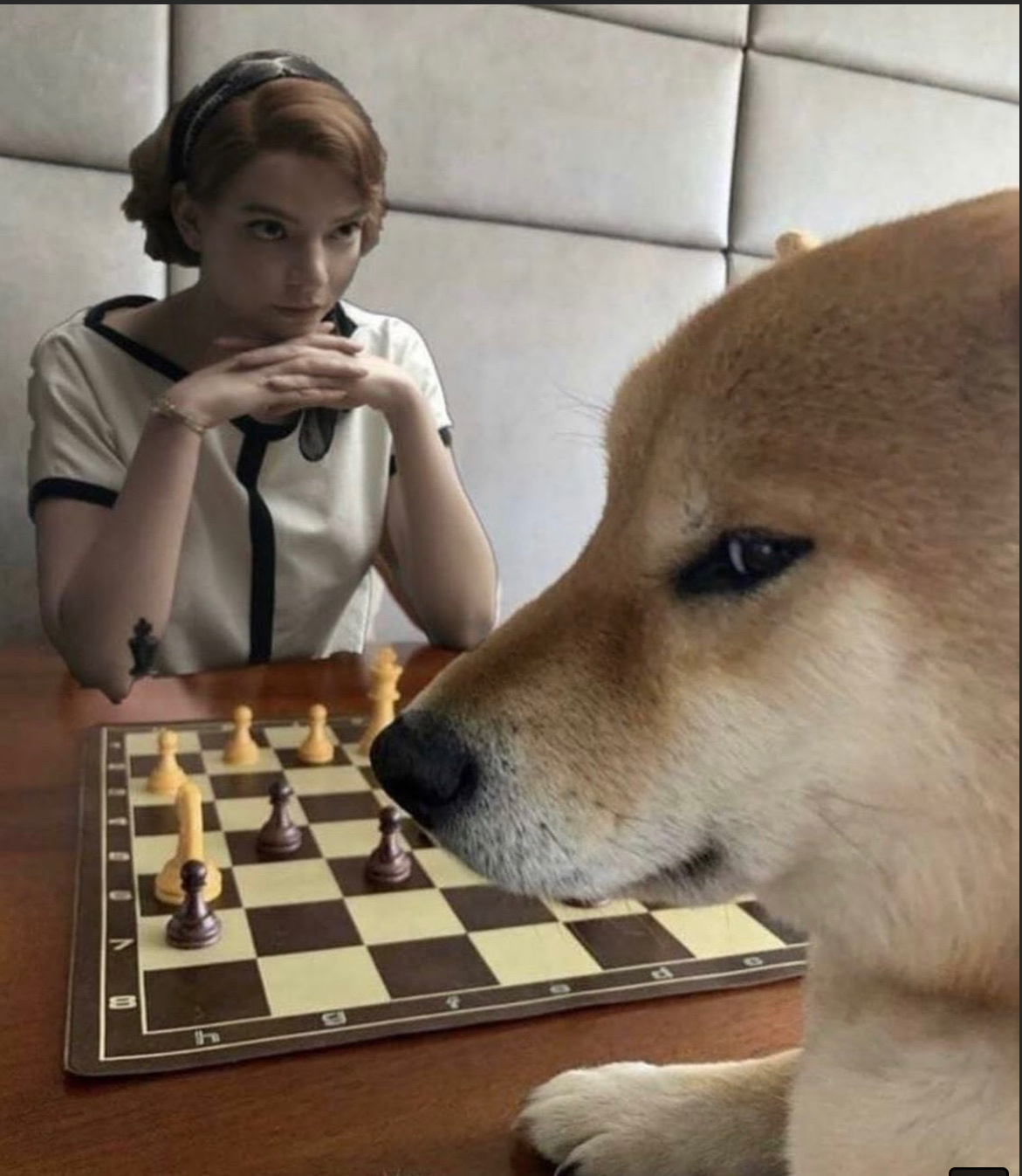El Cheems ajedrez - meme
