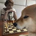 El Cheems ajedrez