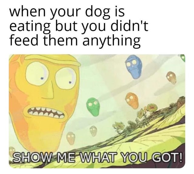 Show me what you got dogg - meme