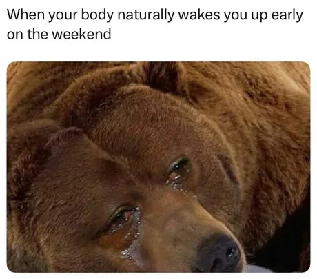 waking up early on the weekend - meme