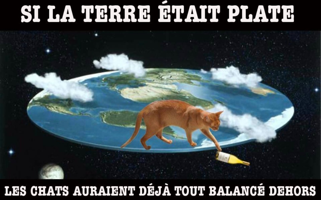 Si la Terre était plate les chats auraient déjà tout balancé - meme