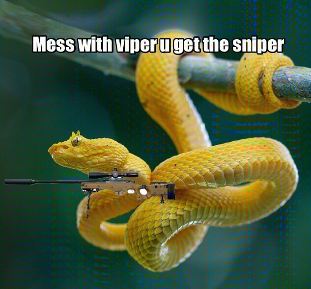 Sniper viper - meme