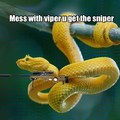 Sniper viper