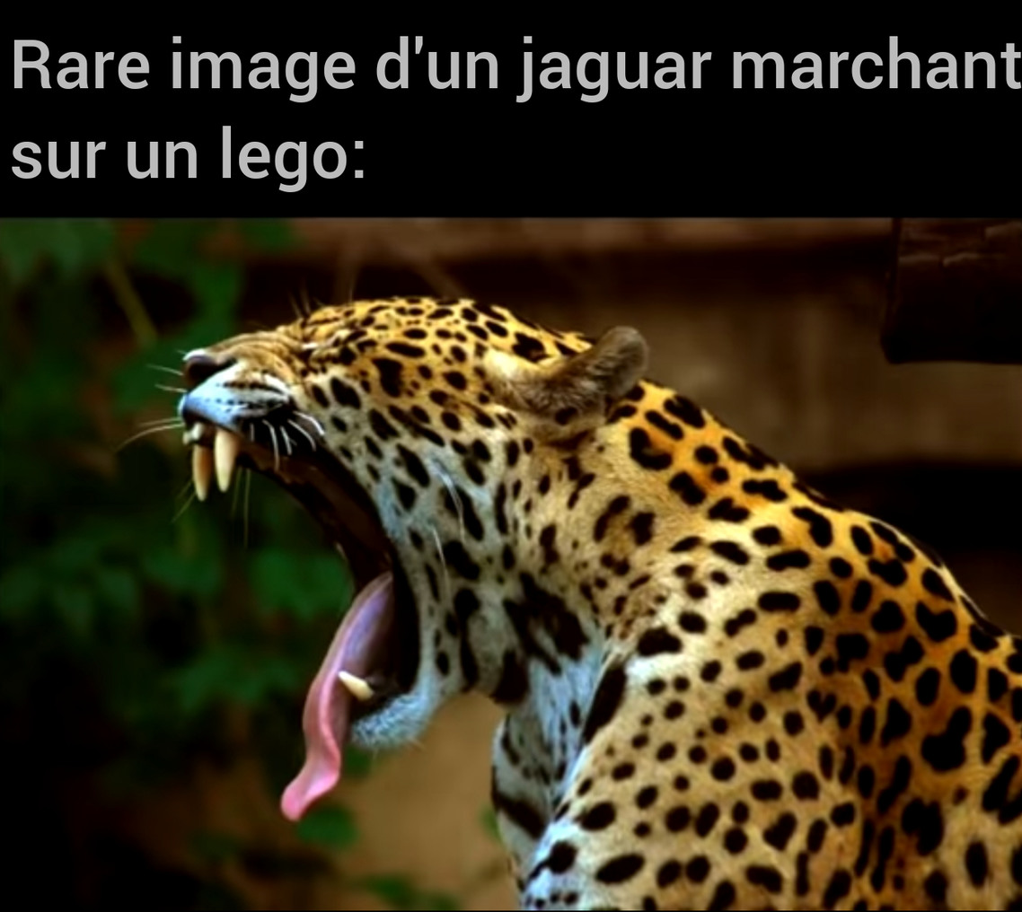 Fresh juicy meme