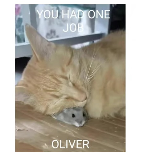 Oliver, just WHY?!?! - meme
