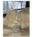 Oliver, just WHY?!?!