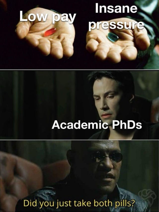 Academic PhDs - meme
