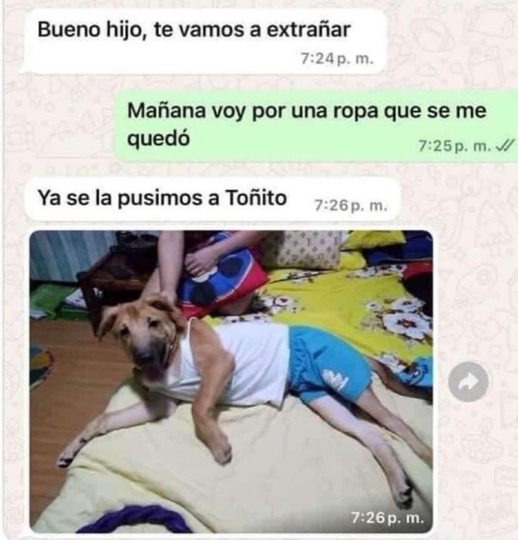 Te vas un día y ya le pusieron tu camiseta al perro - meme