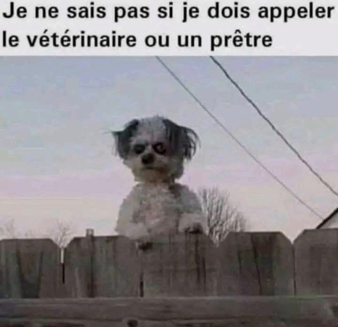 appel d'urgence - meme