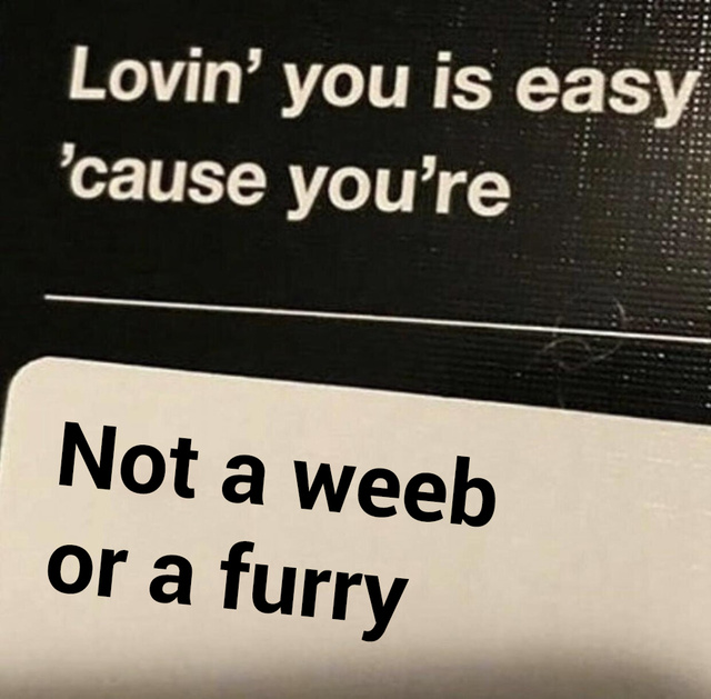 Loving you is easy cause you are not a weeb or a furry - meme
