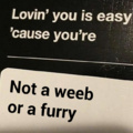Loving you is easy cause you are not a weeb or a furry
