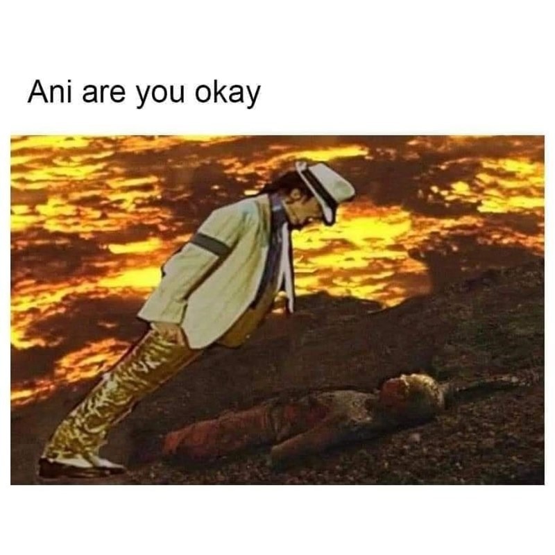 Ani are you okay? - meme