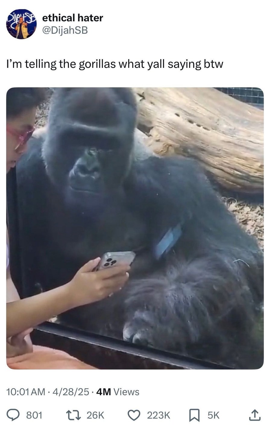 I’m telling the gorillas what y’all are saying - meme