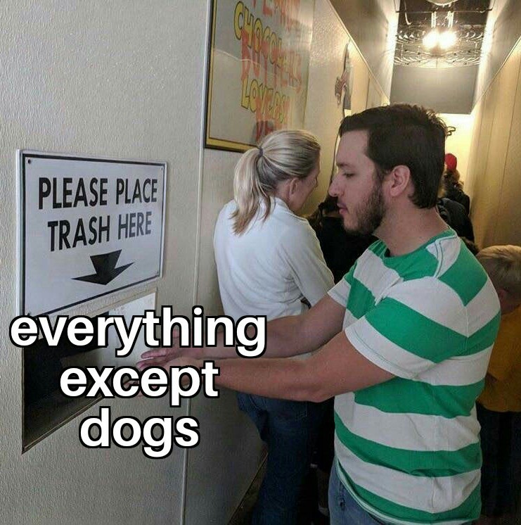 dogs have it ruff these days - meme