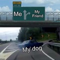 Dogs be like that