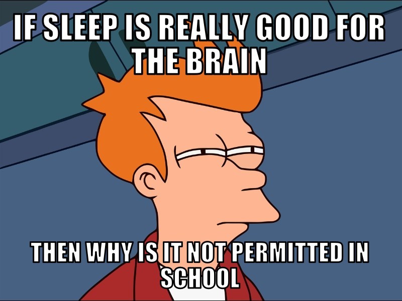 Why sleep not permitted in school? - meme