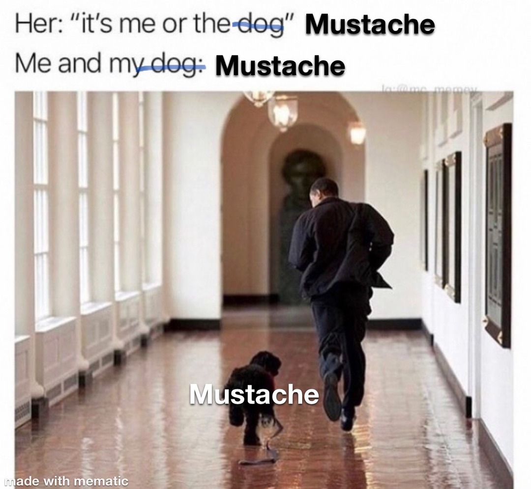 it’s me or the mustache - meme