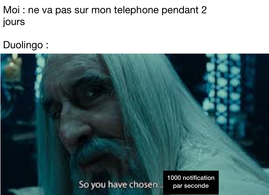 Pourquoi - meme