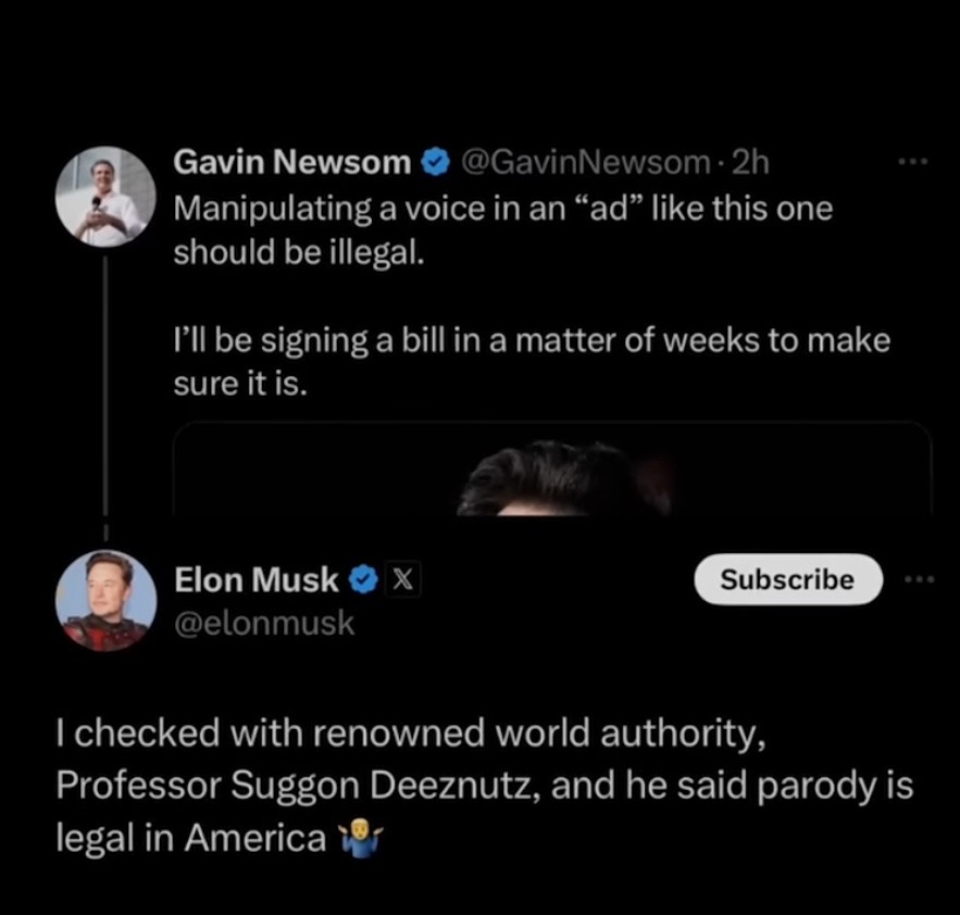 musk is wild - meme