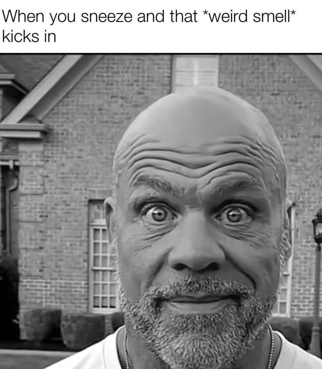 That sneeze where your nose activates a new dimension - meme