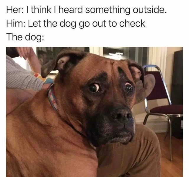 Her: I heard something. Dog: guess I’m expendable now - meme