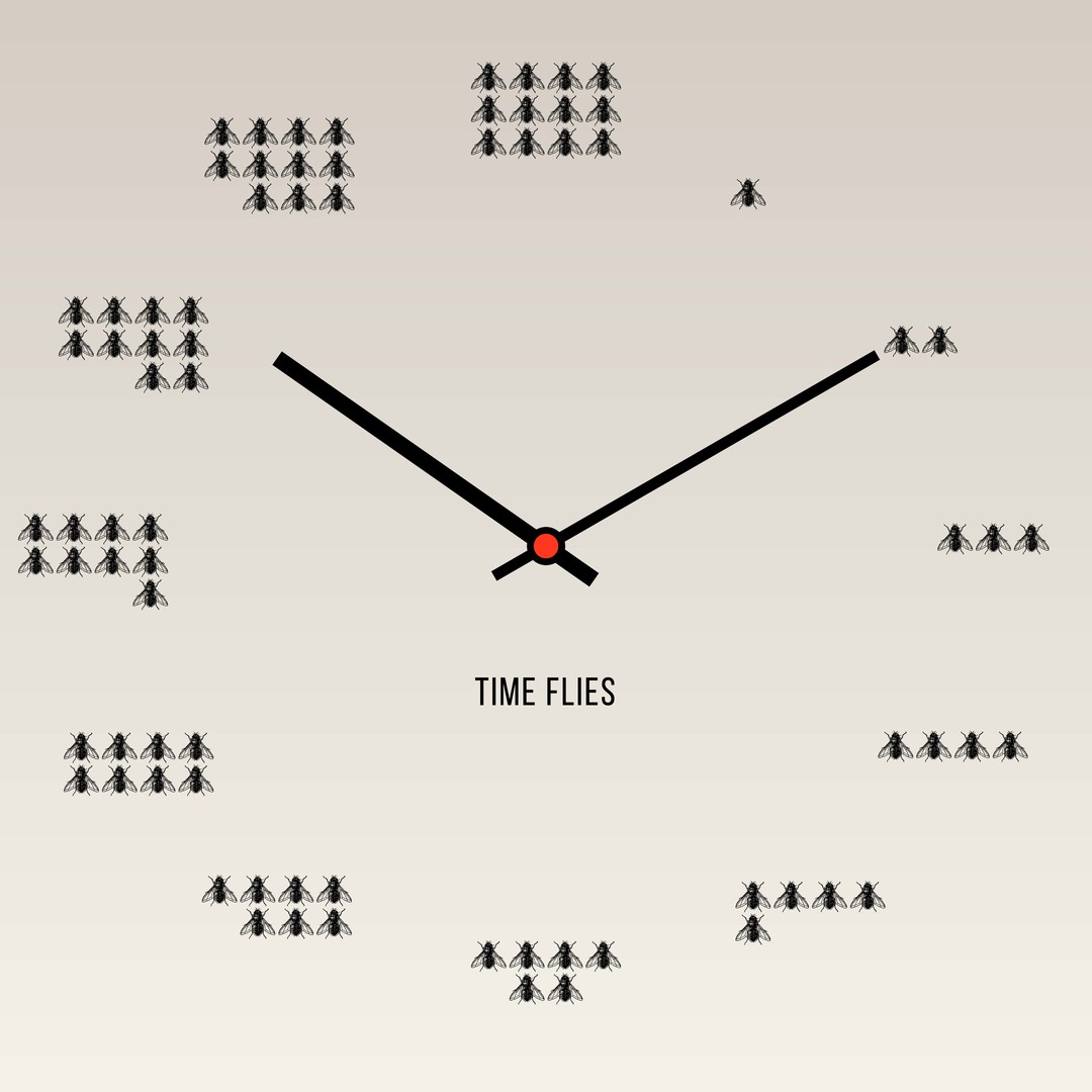 Time flies - meme