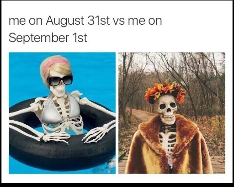 Fall is coming - meme