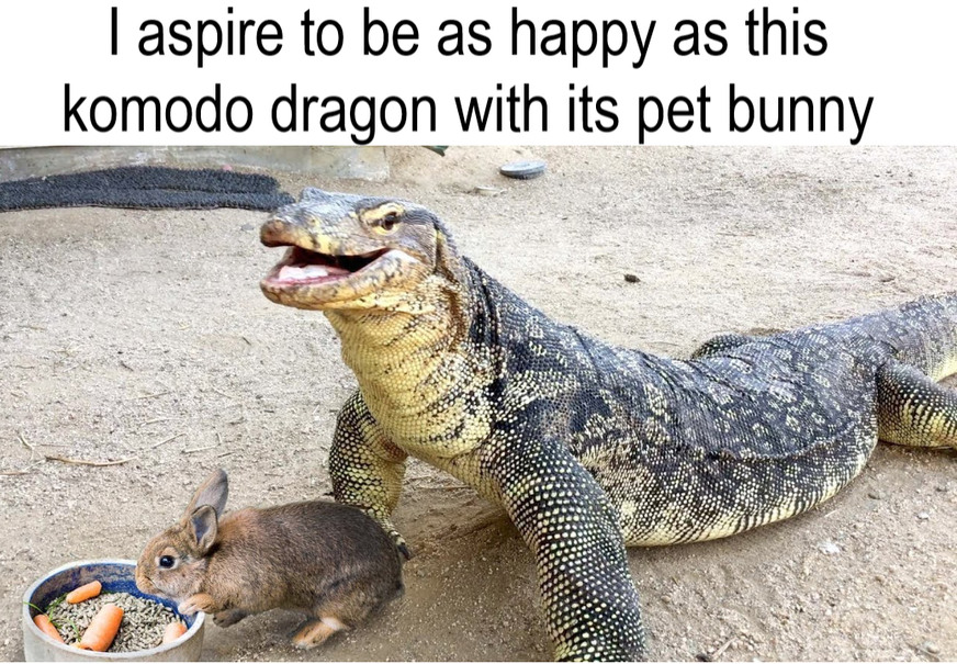 Happy Dragon - meme