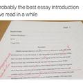 The best essay introduction I've read