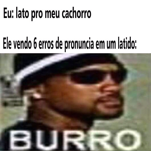 Burro - meme