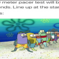 the fitnessgram Pacer test..