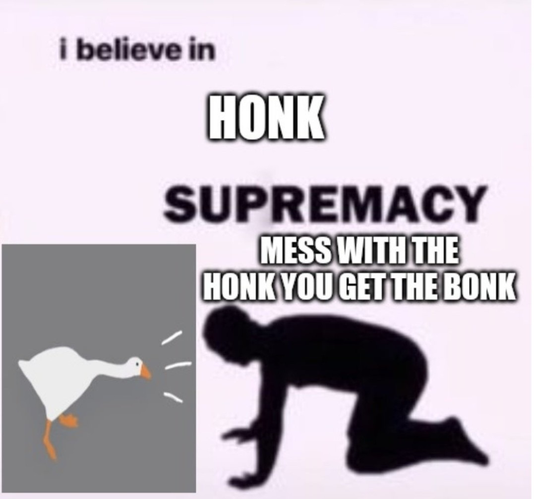 No se metan con honk - meme