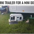 Mini dog with its mini trailer