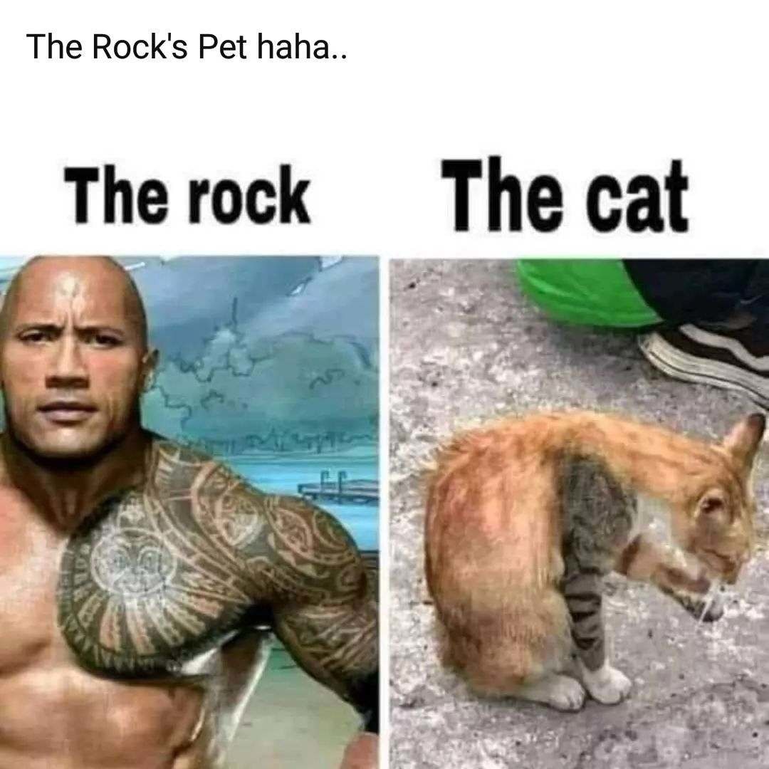 The Rock card meme - Meme by geniusleesin :) Memedroid