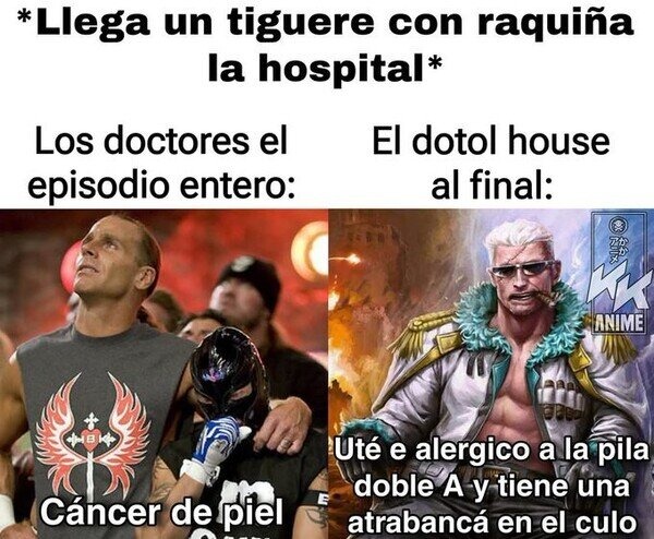 Dotol house - meme