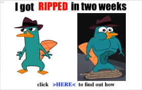 Buff Perry - meme