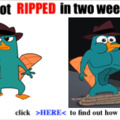 Buff Perry