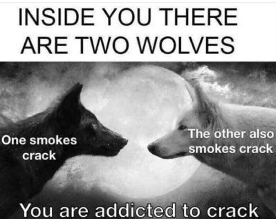 both wolves are addicted to crack - meme