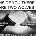 both wolves are addicted to crack
