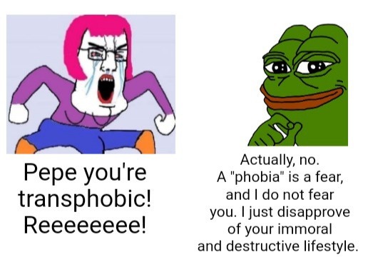 Pepe says No to Trans. Be like Pepe. - meme