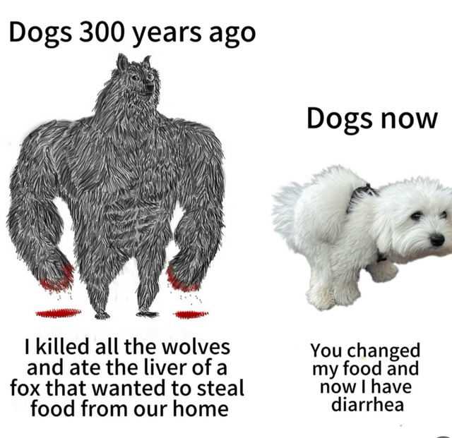 Dogs were savages but they are still great - meme